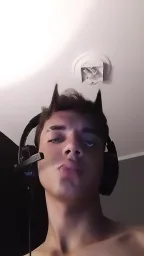 gatomaconha