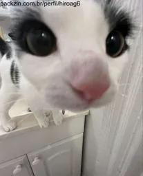 Hiro