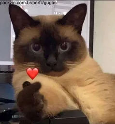 Foto de perfil de gustasvopvps