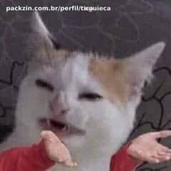 Foto de perfil de tica