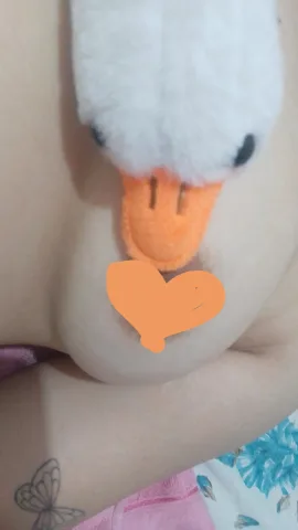 Imagem do pack Patinho safado (+18)