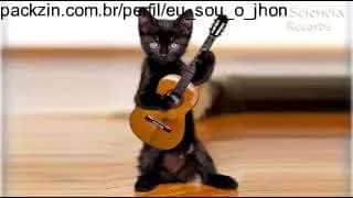 Imagem do serviço Ensino seu gato a tocar ukulele!