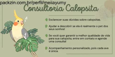 Imagem do serviço 🌸 Consultoria Calopsita 🌸