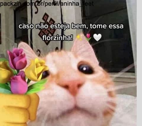 Imagem do serviço WEB AMIGO ✨️