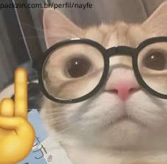 Foto de perfil de nayfe