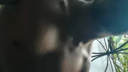 Foto de perfil de pips