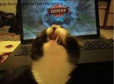Imagem do serviço ✿ Jogo Aram com você no Lol!!