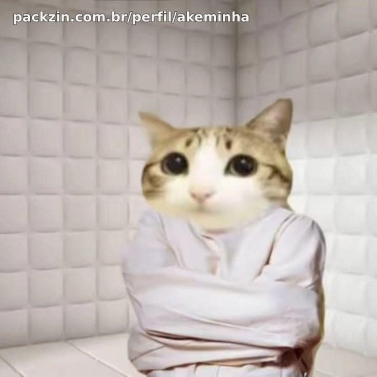 Imagem do serviço Vou te ouvir falar (chat ou call) por 1h