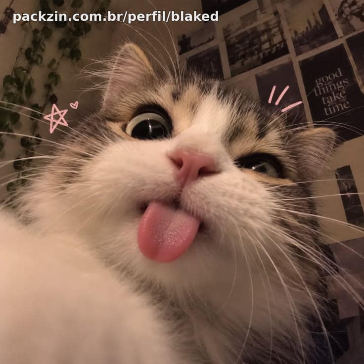 Imagem do pack Me da cuscuiz!