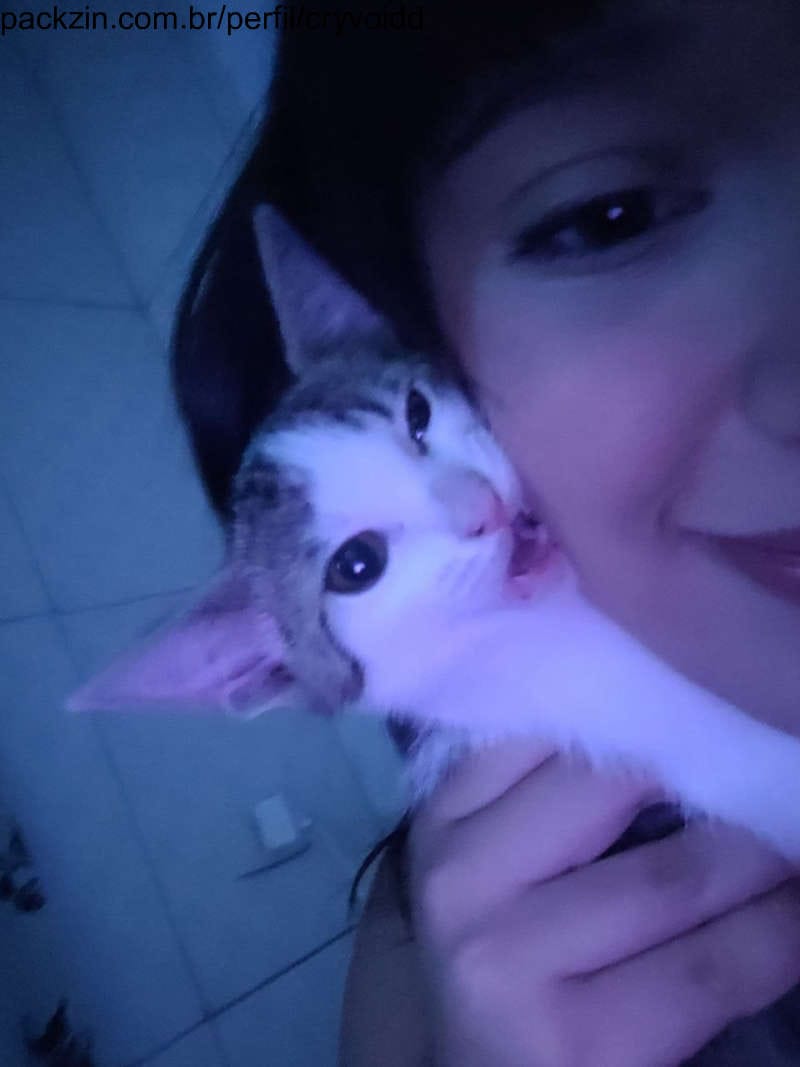 Web amizade