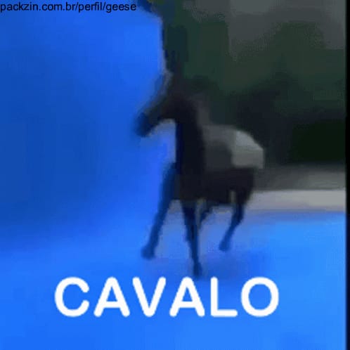 Imagem do serviço CAVALO