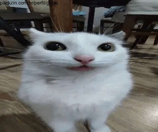 Imagem do serviço Bora jogar?