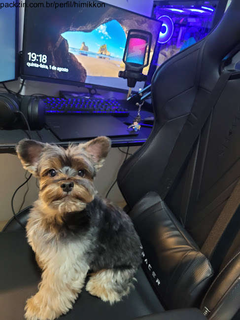 Imagem do pack 🐾 Ajude a Vacinar o Meu Cachorro 🐾