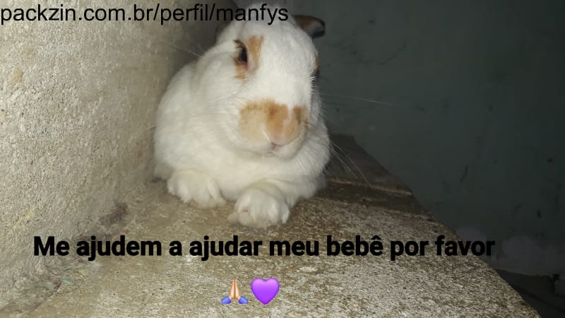 Imagem do pack Doação para meu bebê Banny🐰