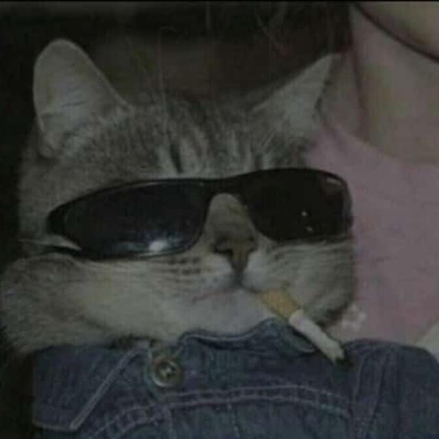 Imagem do pack Webvovo por uma semana
