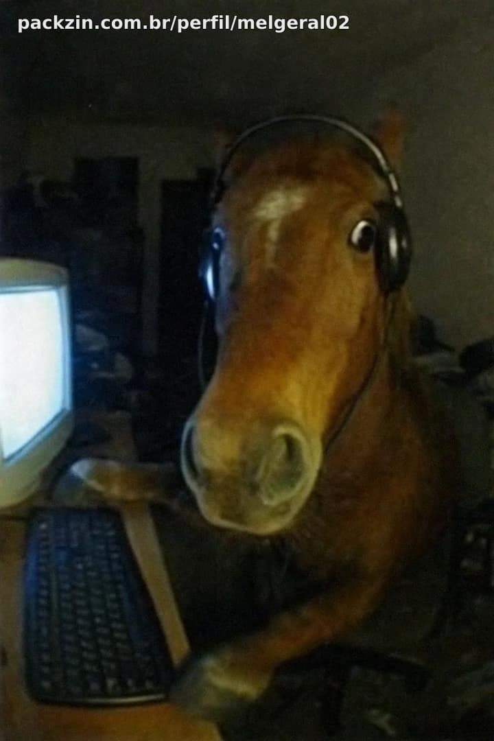 Imagem do serviço Jogo fortnite com você em call