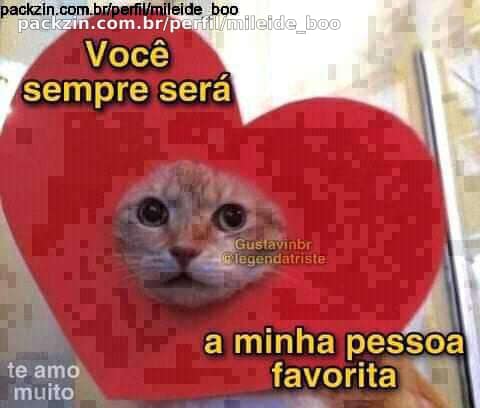 webnamoro 1 dia