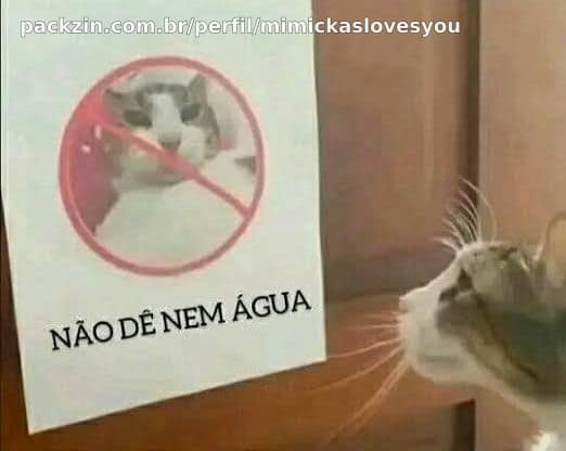Plaquinha (˵ ¬ᴗ¬˵)