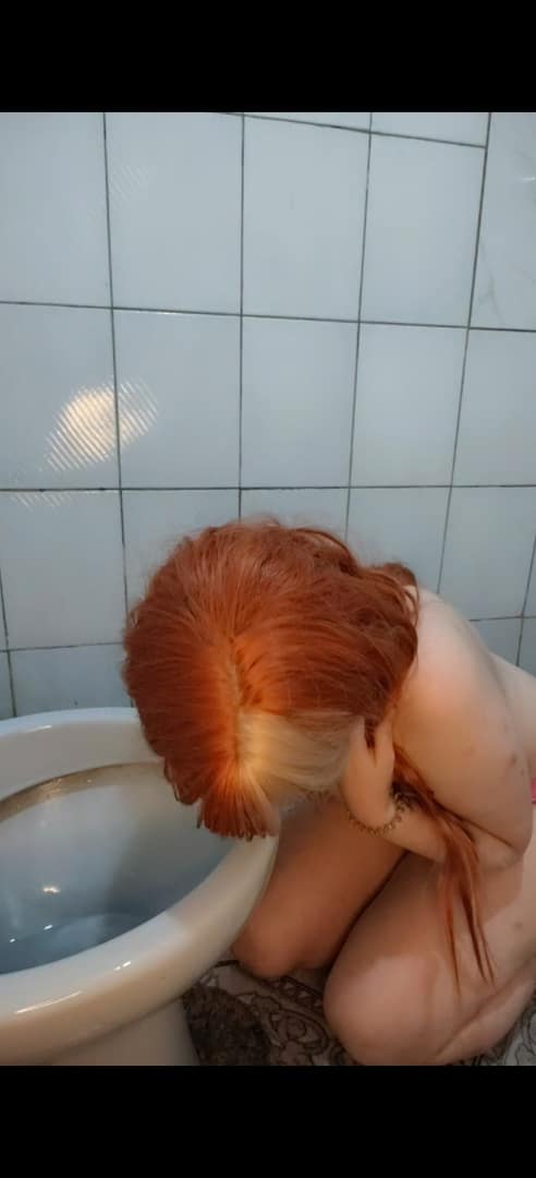 Limpei a privada.