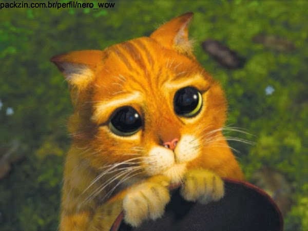 Imagem do pack ajudar meu gato