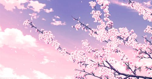 Foto de capa de pinkbubbles