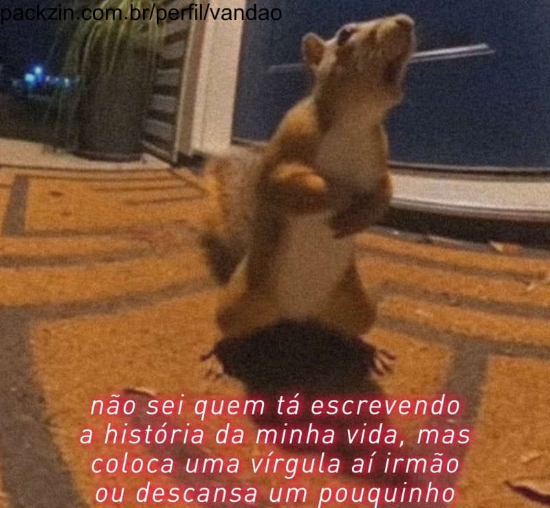 Chamada de Vídeo - 5 Minutos