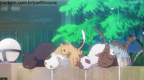 Imagem do pack Ajude a castrar minhas gatinhas
