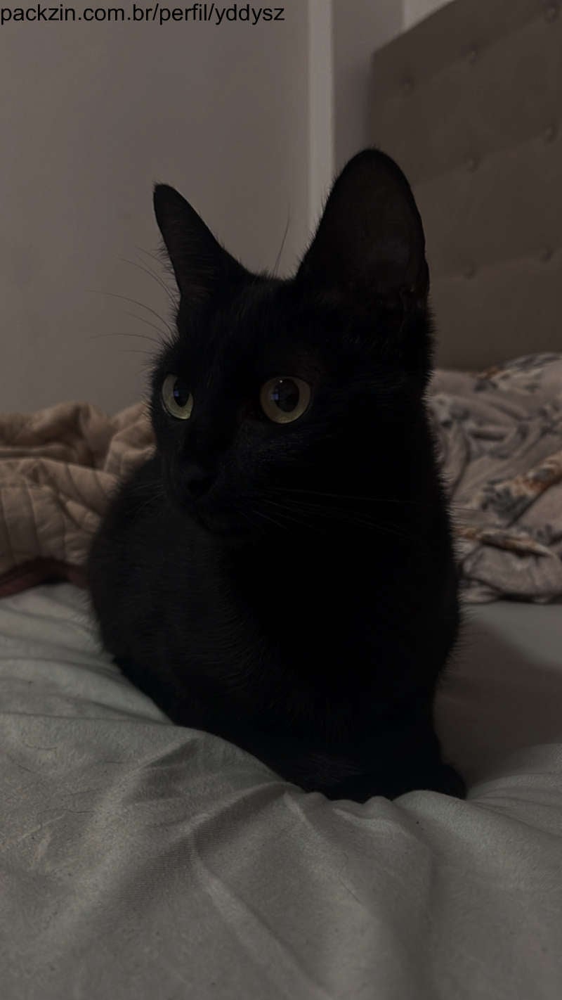 Imagem do pack Tratamento da Pantera 🐈‍⬛