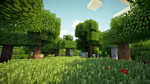 Imagem do serviço ✨Irei Jogar Minecraft Com Você✨