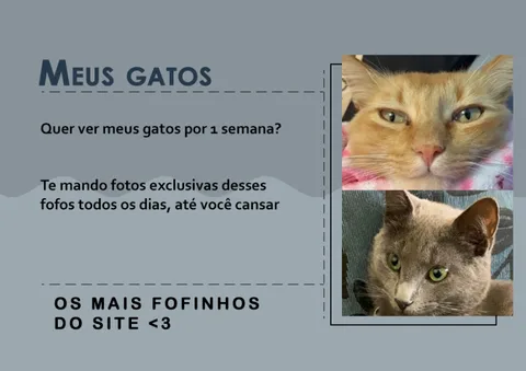 Imagem do serviço Te mando foto dos meus gatos por 1 semana
