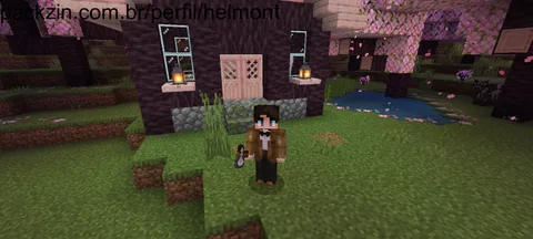 Imagem do serviço Serei seu duo no Mine
