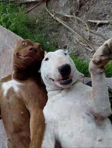 Imagem do serviço Companhia da Madrugada