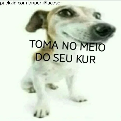 Imagem do serviço Vou te xingar de tudo quanto é nome sua desgraça
