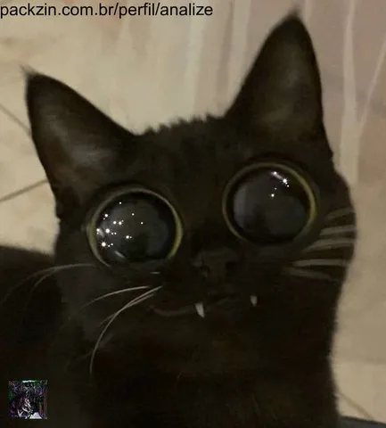 Imagem do serviço Call para papear