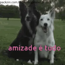 Imagem do serviço Amizade Vitalicio