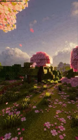 Imagem do serviço Jogo minecraft com vc