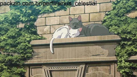 Imagem do serviço Passe uma tarde comigo!
