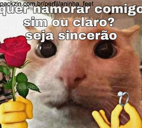 Web namoro 💝
