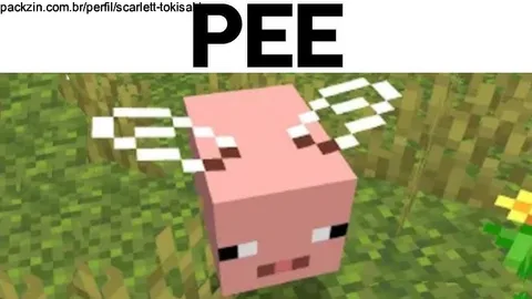 Imagem do serviço DUO MINECRAFT! (1h30min)