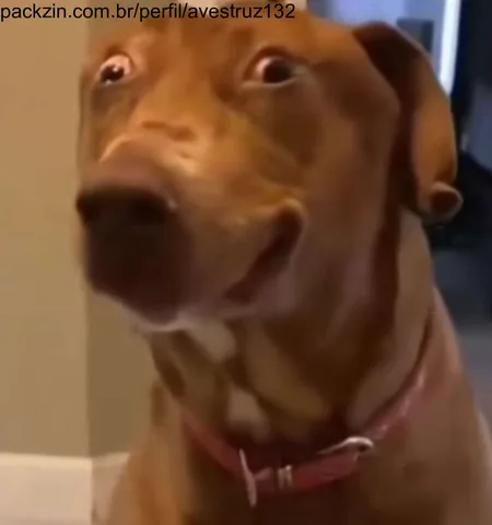 Imagem do serviço SERVIDORES DE DISCORD??🤔