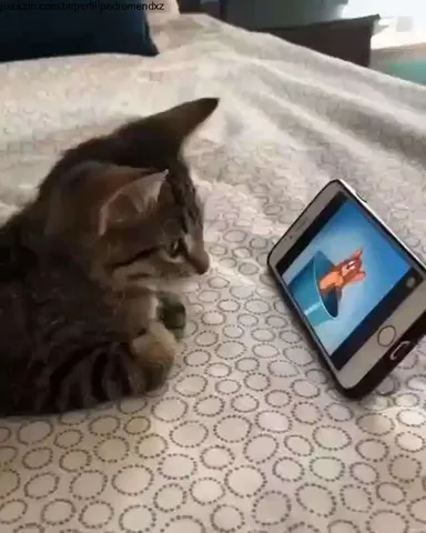 Imagem do serviço Bora assistir um filme juntinhos? 🍿