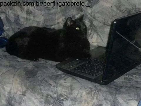 Imagem do serviço Ajudo a montar seu PC🖥️