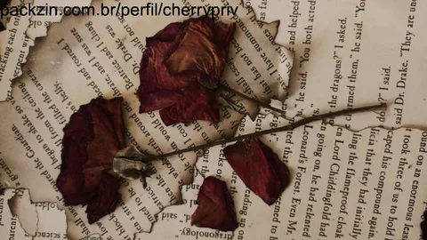 Imagem do serviço Carta da Cherry🍒💌✨