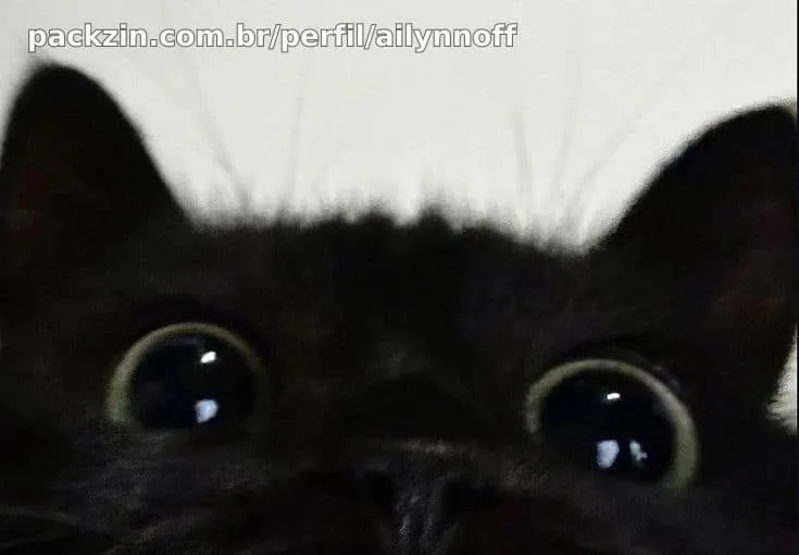 Capa do perfil de Ailyn