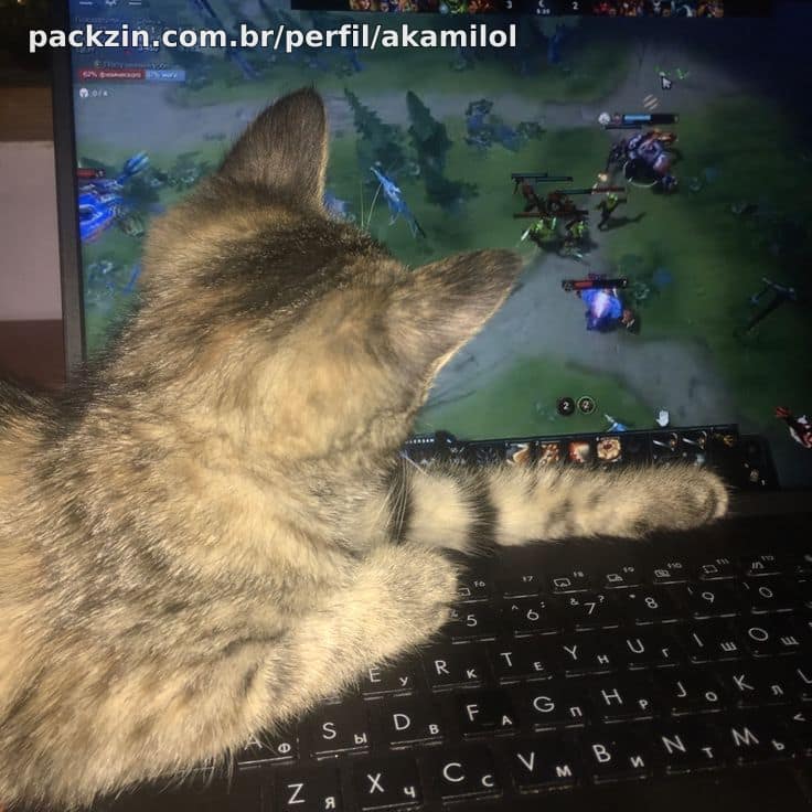 Imagem do serviço ASSISTO VOCÊ JOGAR