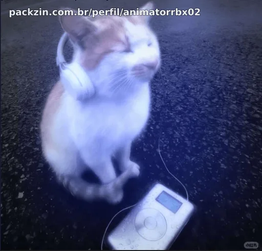 AnimatorRBX02