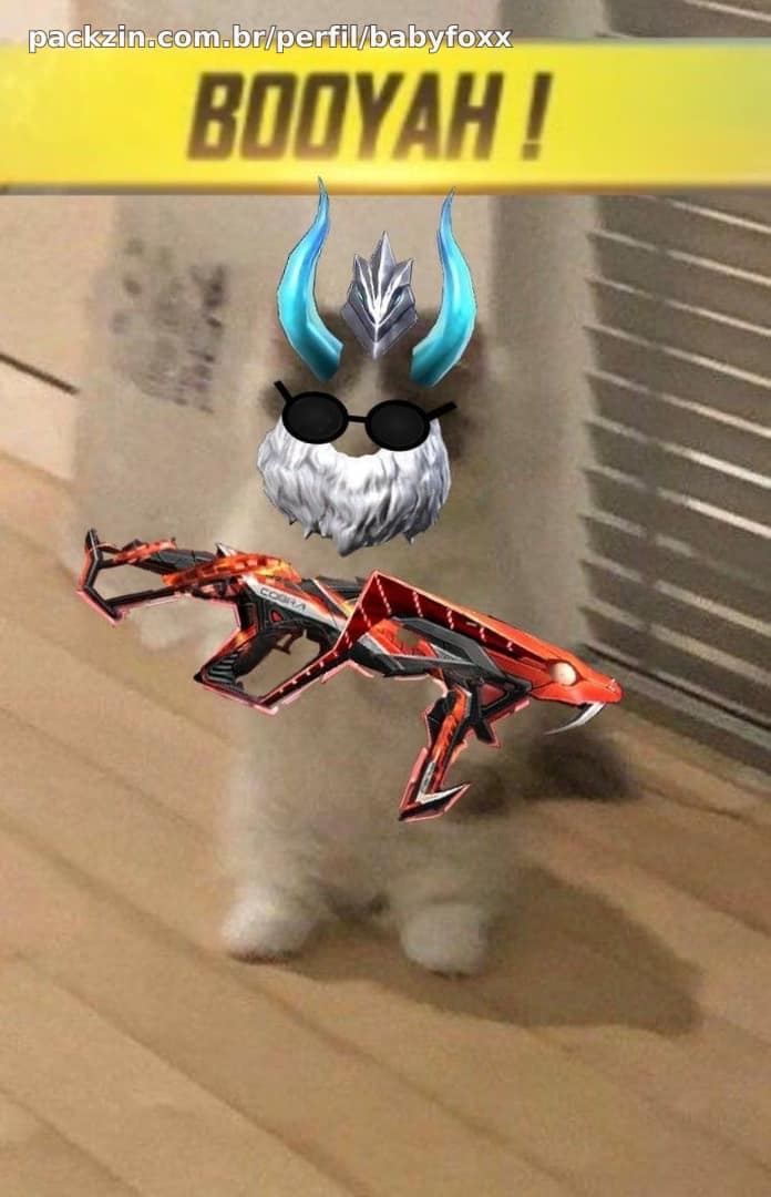 Imagem do serviço Jogo Free fire com você por uma 1 hora