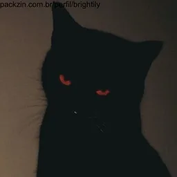Foto de perfil de brightily