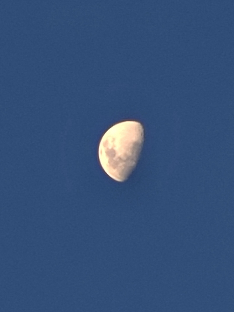Foto de perfil de cadastro