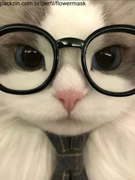 Foto de perfil de eutianath